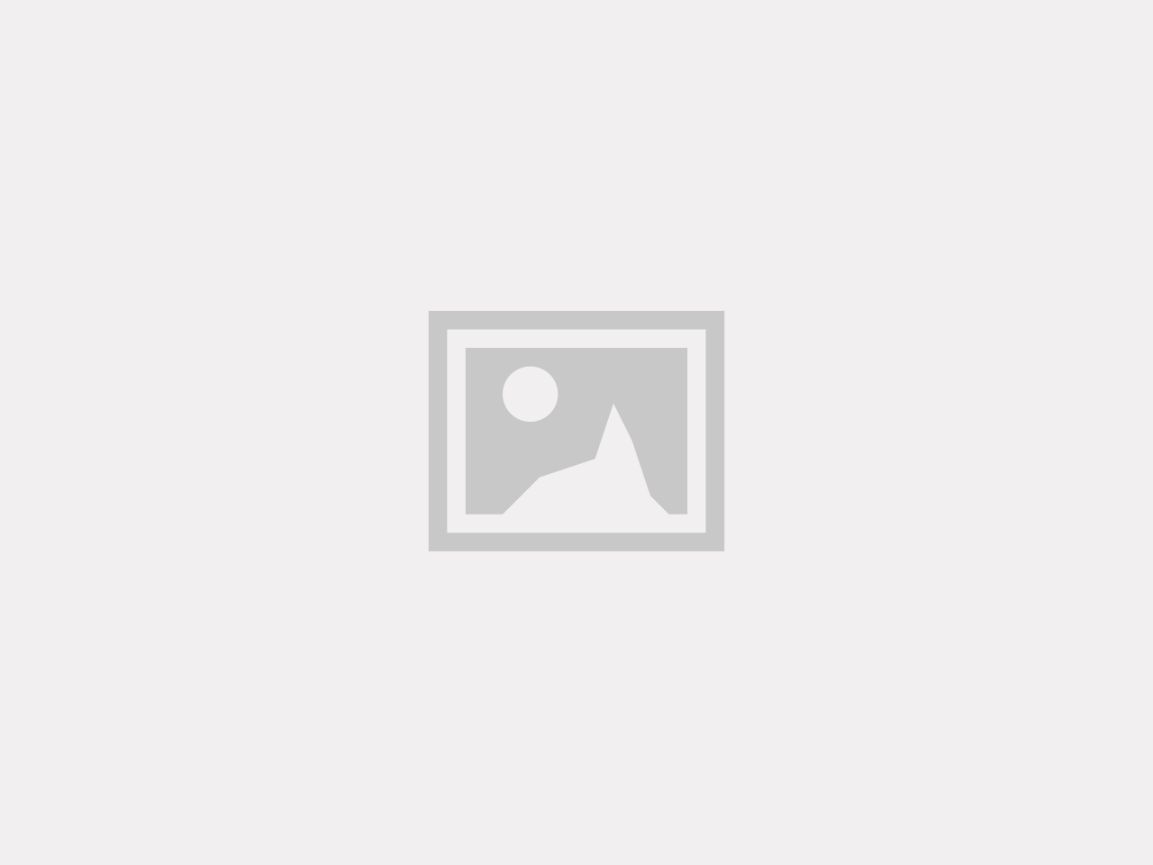 Doseringspump WD-6 / WD-6C